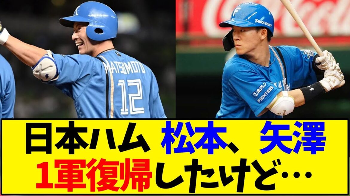 日本ハム  松本、矢澤1軍復帰したけど…