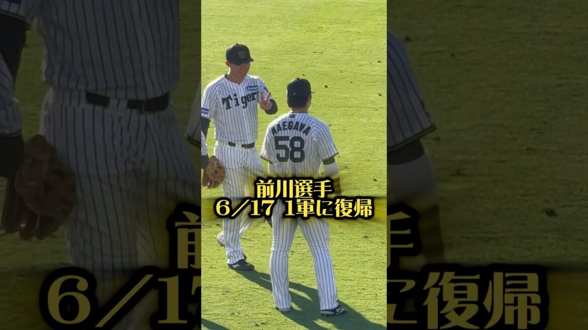 前川右京選手一軍復帰6/17甲子園 #阪神タイガース #阪神 #プロ野球 #甲子園 #野球 #阪神ファン #前川右京 #智弁学園 #智辯学園 #jockrock #三重県 #森下翔太 #森下