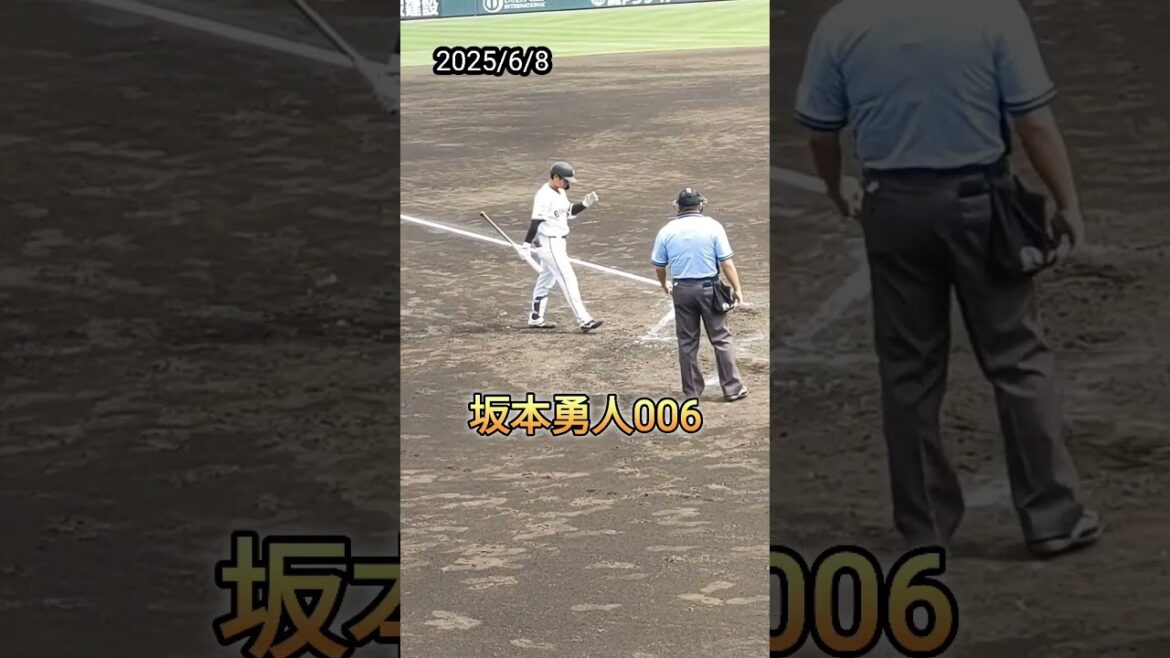 【GIANTS】 #坂本勇人 選手006の打席 #shorts #巨人 #ジャイアンツ #プロ野球