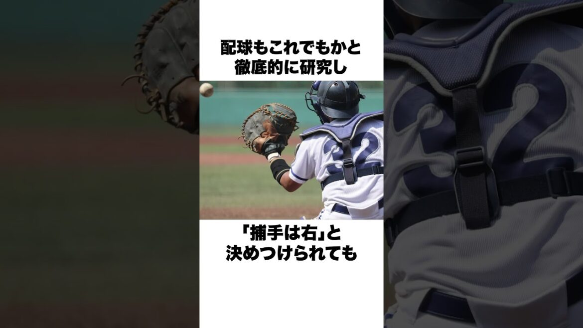 「元ピッチャーの左投げキャッチャー」長嶺勇也についての雑学#野球#野球雑学#甲子園 「元ピッチャーの左投げキャッチャー」長嶺勇也についての雑学#野球#野球雑学#甲子園