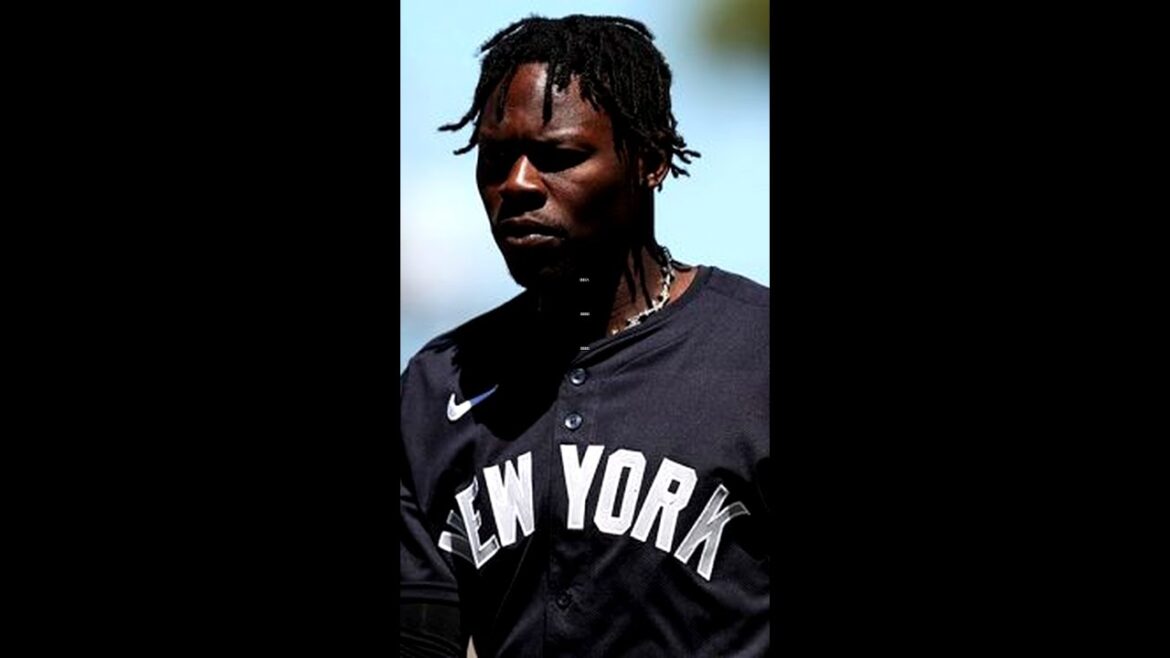 チザムJr. 差別問題で ロハス非難