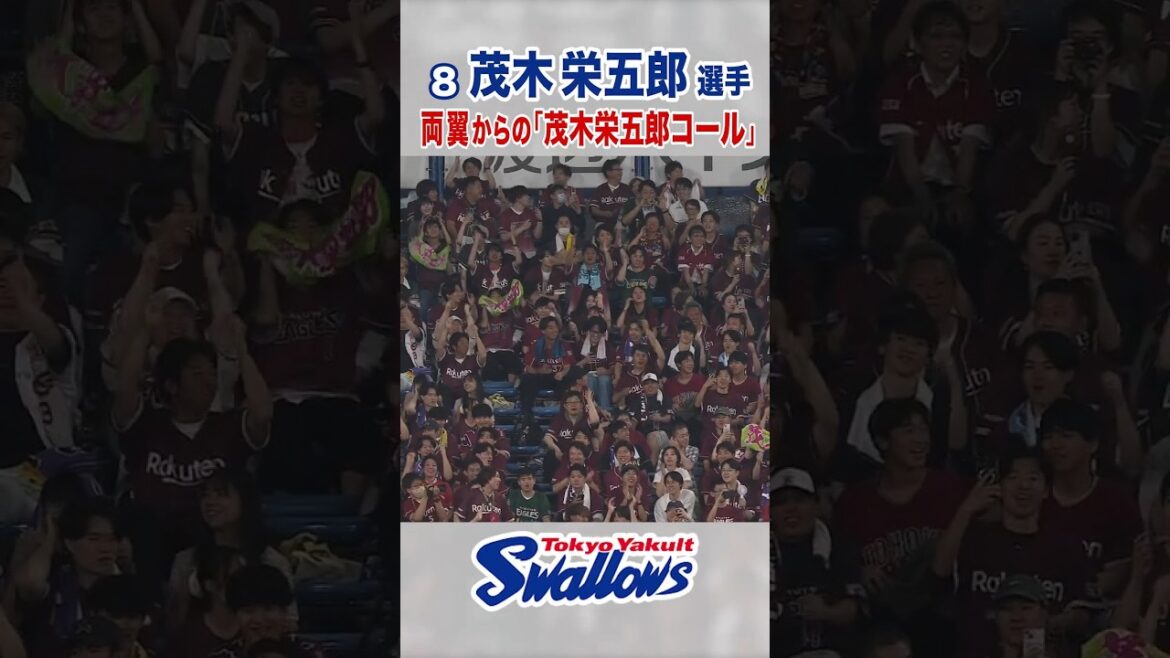 茂木栄五郎選手 両翼からの「茂木栄五郎コール」 #swallows #茂木栄五郎 #shorts