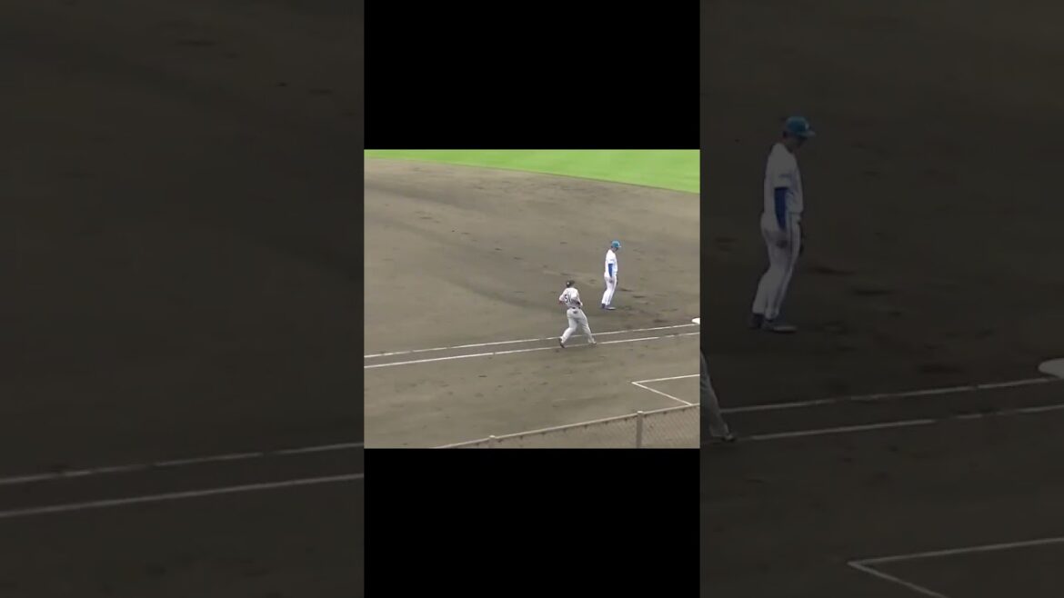 巨人 浅野翔吾ヒット（2024年6月25日 北海道日本ハムファイターズ対 読売ジャイアンツ）