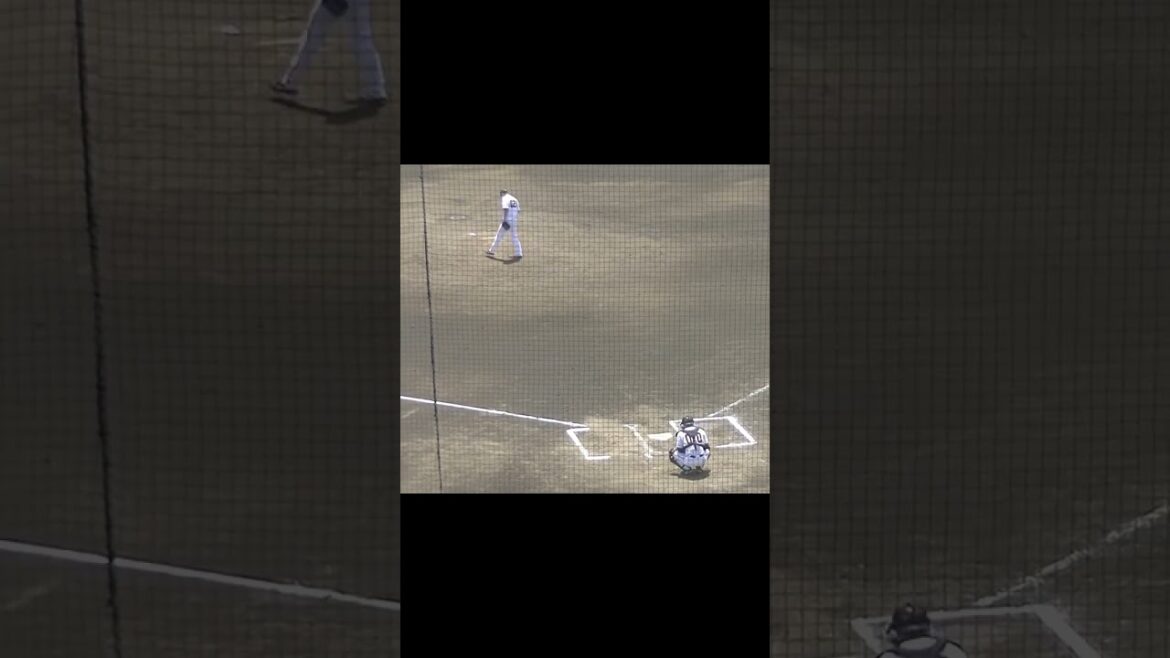 小沼健太の投球練習（ 読売ジャイアンツ3軍 対 東海大 2024年8月12日）