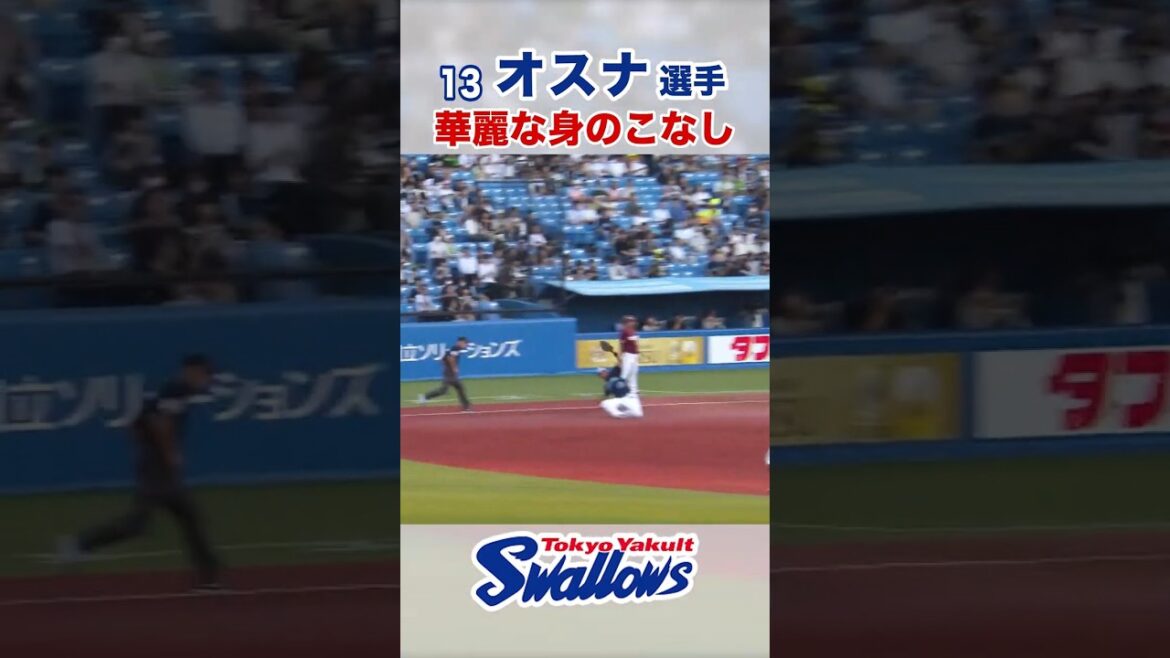オスナ選手 華麗な身のこなし　#swallows #オスナ #shorts