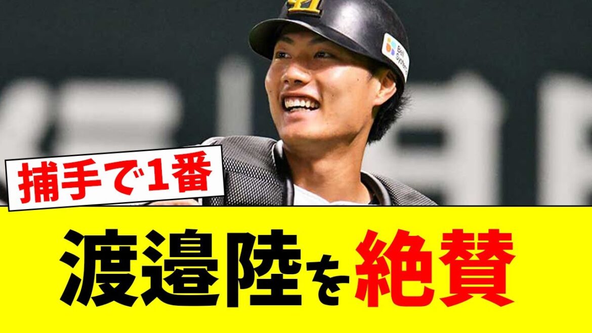 【絶賛】ホークス渡邉陸を絶賛!!【なんJ反応】【プロ野球反応集】