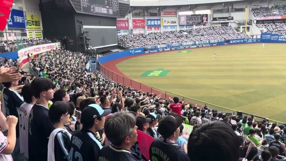 2025 山田哲人→夏祭り 応援歌 東京ヤクルトスワローズ in ZOZOマリンスタジアム 20250615
