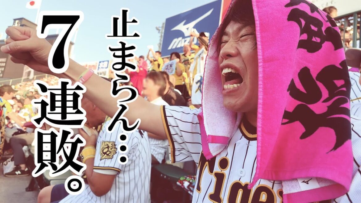 はあ。ロッテに逆転負けで阪神泥沼の7連敗。梅ちゃん誕生日おめでとう はあ。ロッテに逆転負けで阪神泥沼の7連敗。梅ちゃん誕生日おめでとう