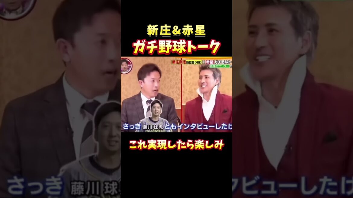 【豪華対談】赤星＆新庄のガチ野球トーク #プロ野球 #野球 #新庄剛志 #赤星憲広