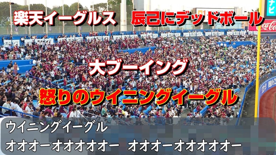 楽天イーグルス　辰己涼介応援歌→デッドボールで大ブーイング→怒りのウイニングイーグル（歌詞付き）交流戦　明治神宮野球場　2025.6.17