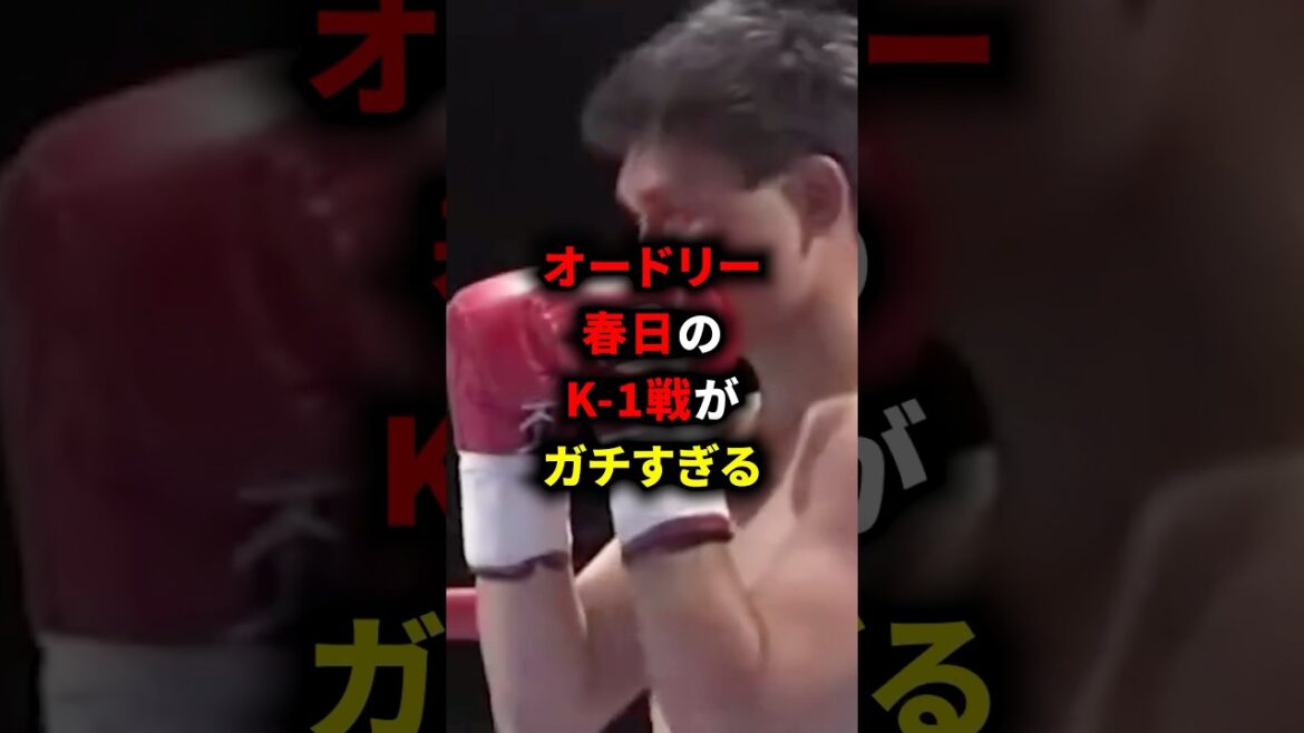 オードリー春日のK-1戦がガチすぎる #格闘技 #ボクシング #k1 #井上尚弥 #雑学