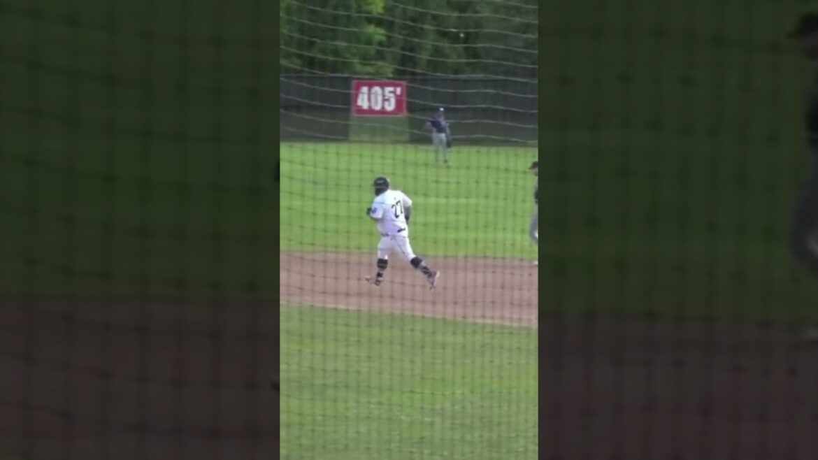 Ryan Rijo’s 3 run blast moved the @barriebaycats to within 3 trailing 7-4 #baseball Ryan Rijo's 3 run blast moved the @barriebaycats to within 3 trailing 7-4 #baseball