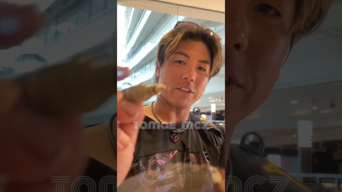 【阪神】梅野選手カメラサイン