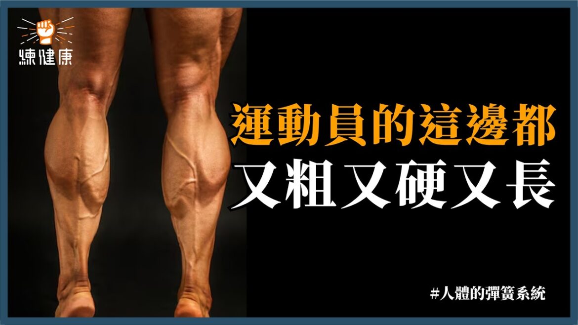 【怎樣跳更高？】揭秘被忽略的人體「彈簧系統」讓你跳更高、殺球更有力｜上集｜彈力訓練技巧、生物力學解析🔥｜ft. 北投流暢哥 @HDbananaFish 、文編