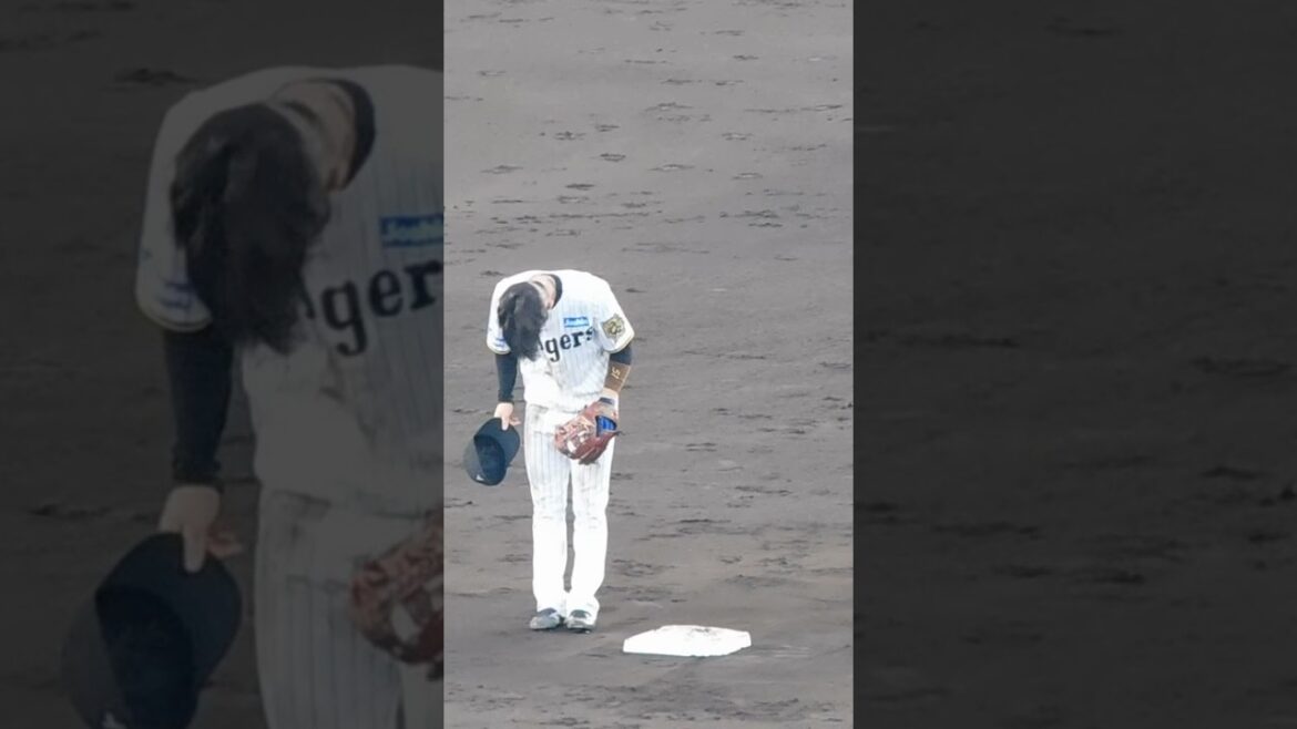 先制タイムリーを放ちファンの歓声に応える中野拓夢 先制タイムリーを放ちファンの歓声に応える中野拓夢