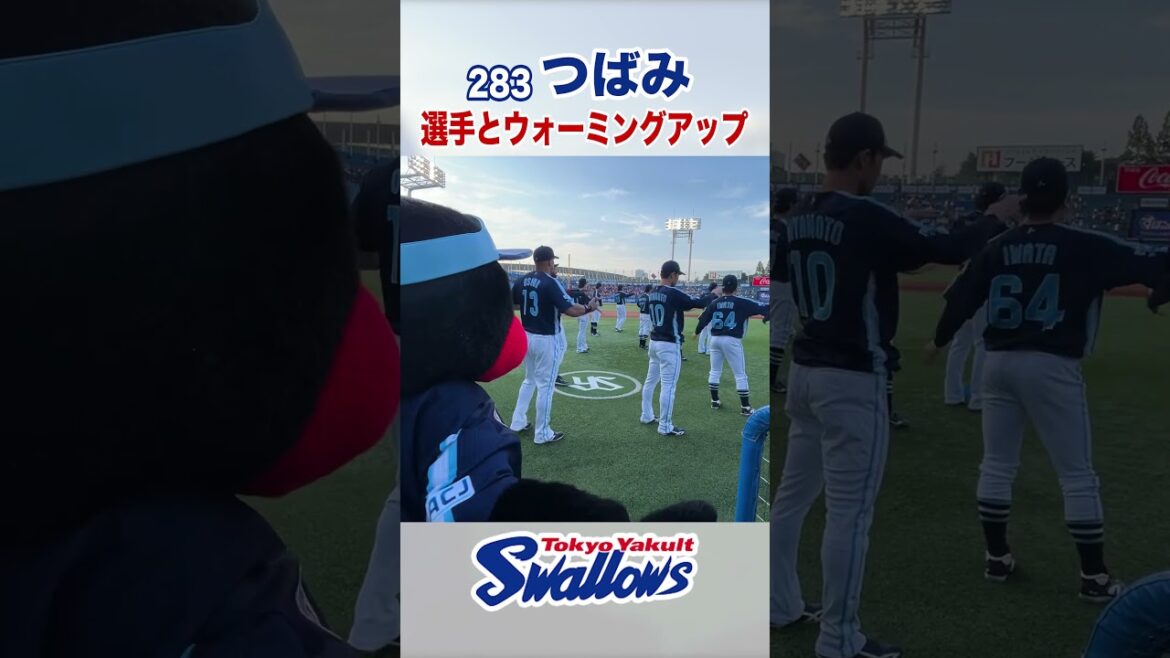 283つばみ 選手とウォーミングアップ #swallows #つばみ #shorts