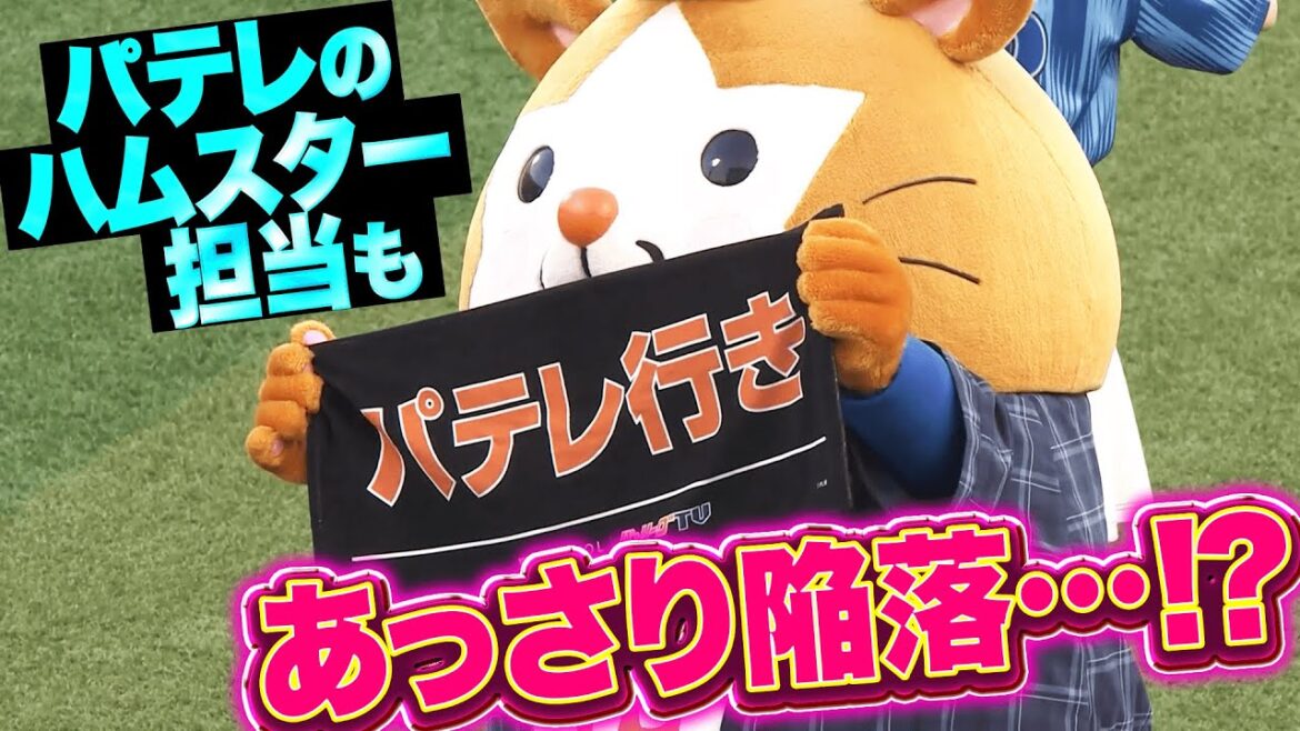 【圧倒的パテレ行き】ハムスター担当もあっさり陥落【あざとかわいい】