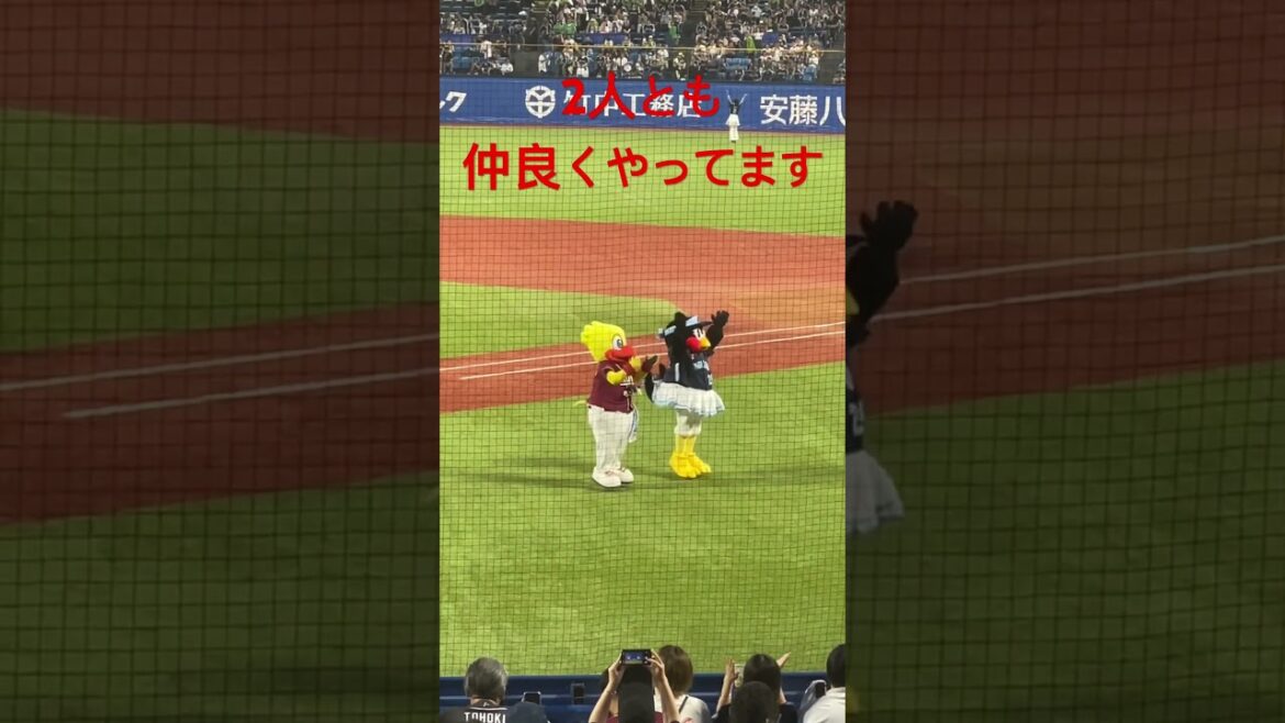 CAT'S EYEを踊るお二人さん #東京ヤクルトスワローズ #プロ野球 #つばみちゃん
