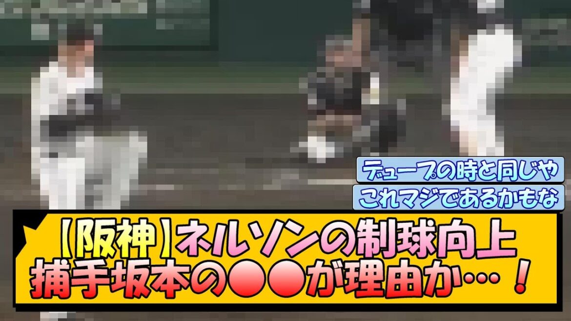 【阪神】ネルソンの制球向上 捕手坂本の○○が理由か…！