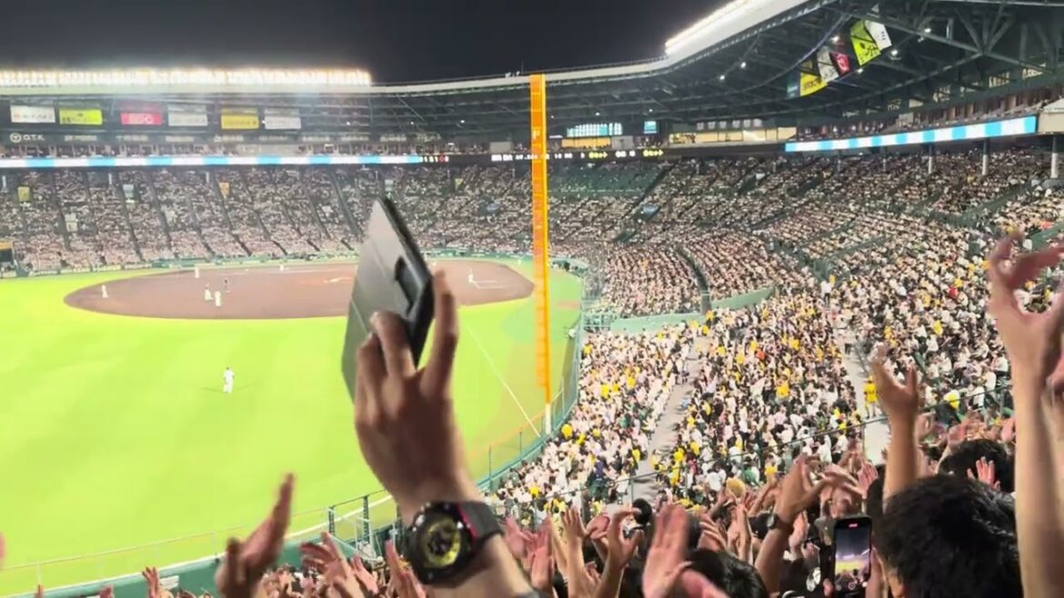 藤岡裕大応援歌 2025/6/17 タイガース vs ロッテ #chibalotte 阪神甲子園球場 藤岡裕大応援歌 2025/6/17 タイガース vs ロッテ #chibalotte 阪神甲子園球場