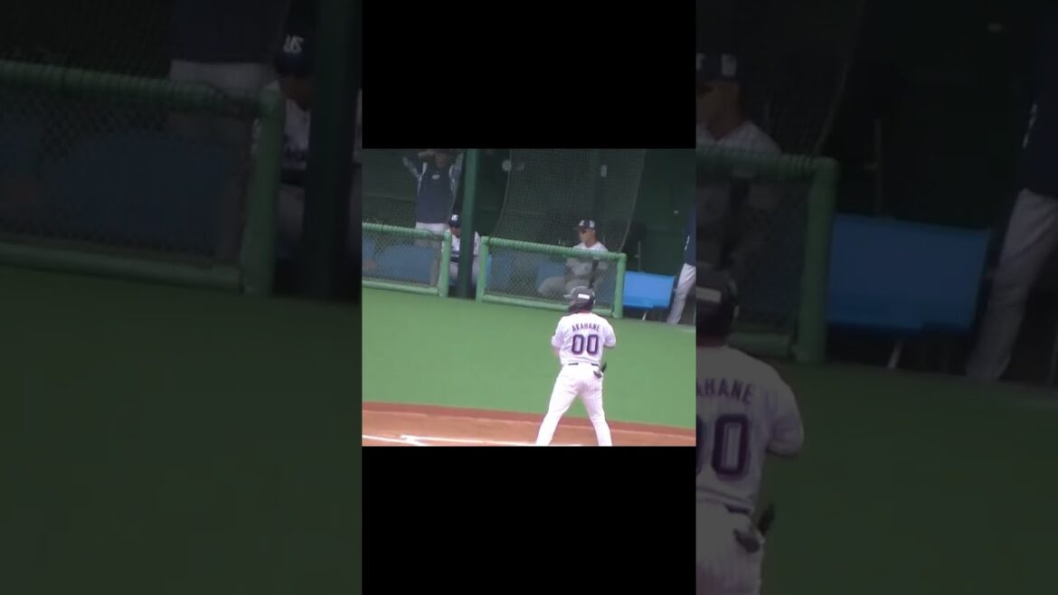 【スワローズ】赤羽由紘のバント＜2軍・ヤクルトスワローズ対 読売ジャイアンツ  2024年5月6日＞