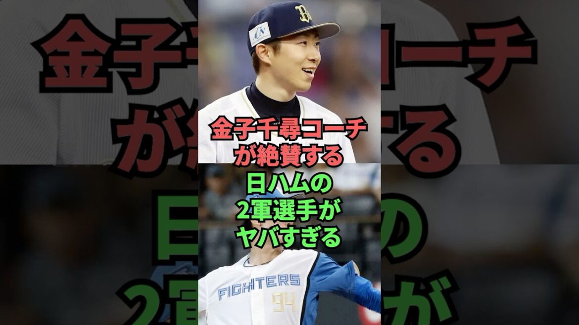 金子千尋コーチが絶賛する日ハムの2軍選手がヤバすぎる