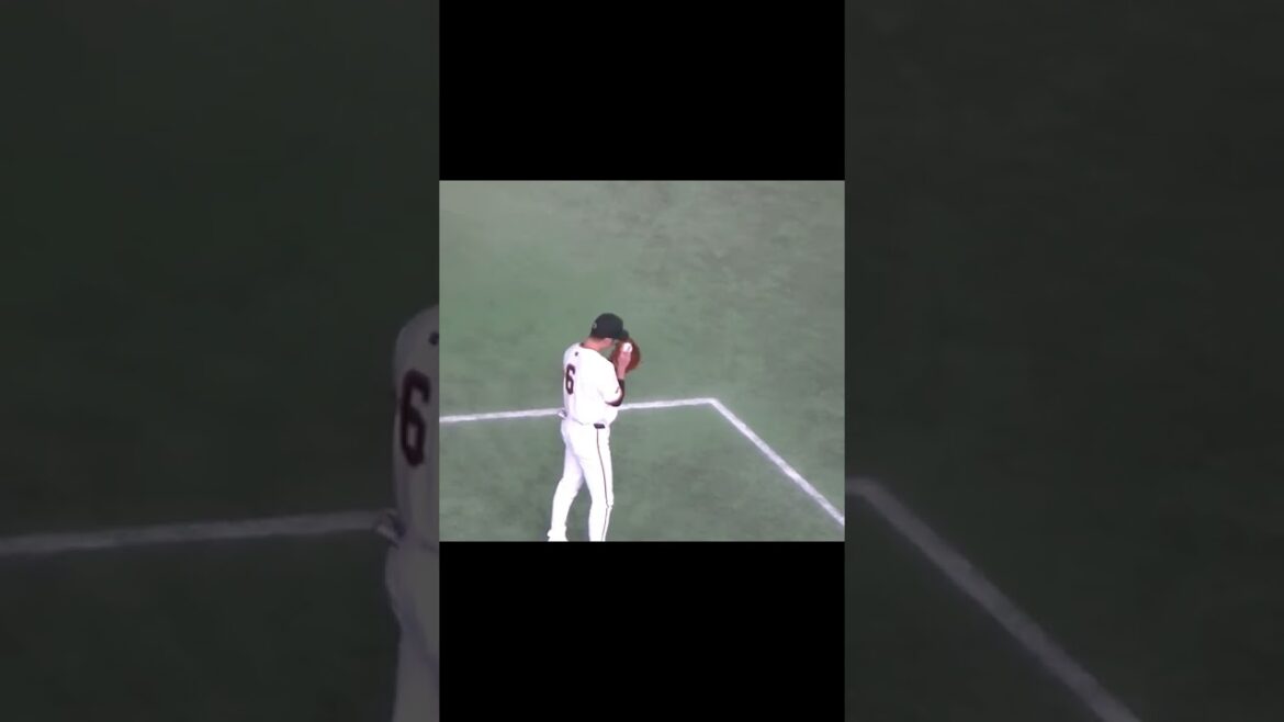 【巨人】小林誠司と坂本勇人のキャッチボール【読売ジャイアンツ対 ヤクルトスワローズ2024年5月1日】