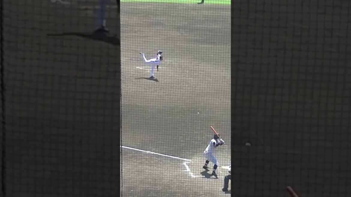 戸田懐生ピッチャーライナー処理（ 読売ジャイアンツ3軍 対 東海大 2024年8月12日）