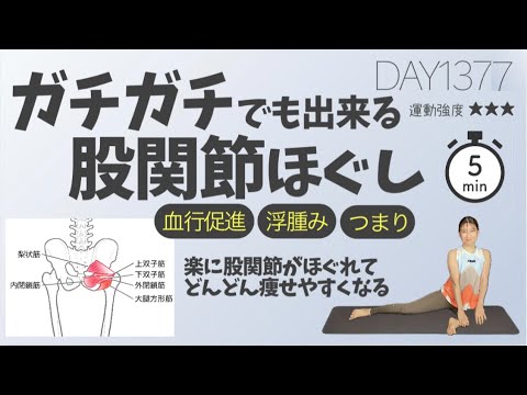 【太りにくく痩せ体質になる】股関節が硬い人が毎日続けたくなるストレッチ|DAY1377 5 Min Hip & Pelvis Workout For Hip Pain 【太りにくく痩せ体質になる】股関節が硬い人が毎日続けたくなるストレッチ|DAY1377 5 Min Hip & Pelvis Workout For Hip Pain