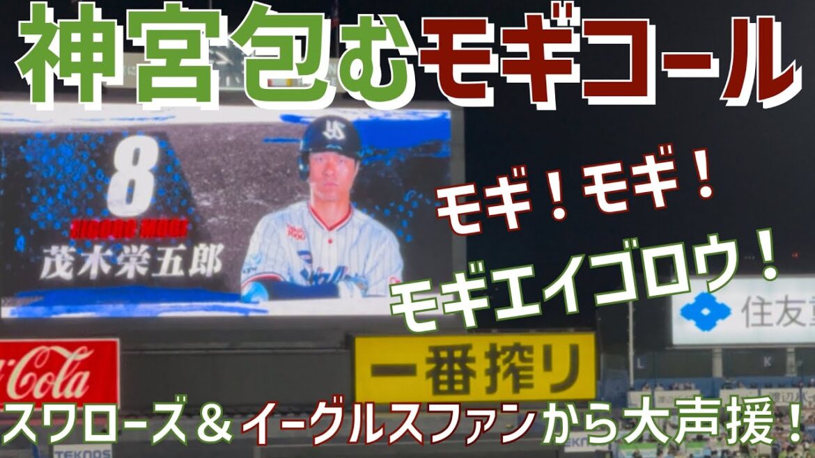 【交流戦の神宮に響き渡るモギコール】茂木栄五郎選手（東京ヤクルトスワローズ←東北楽天ゴールデンイーグルス）明治神宮野球場