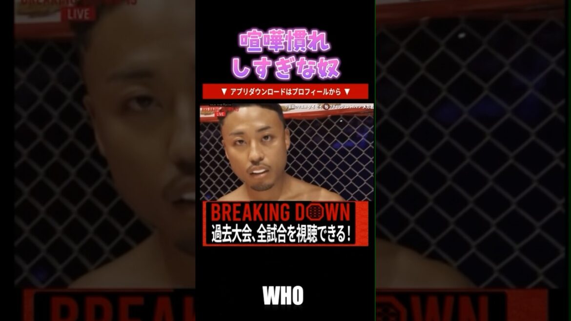 ガチで喧嘩慣れしてる奴の動き【breakingdown 切り抜き】#ブレイキングダウン #朝倉未来 #shorts
