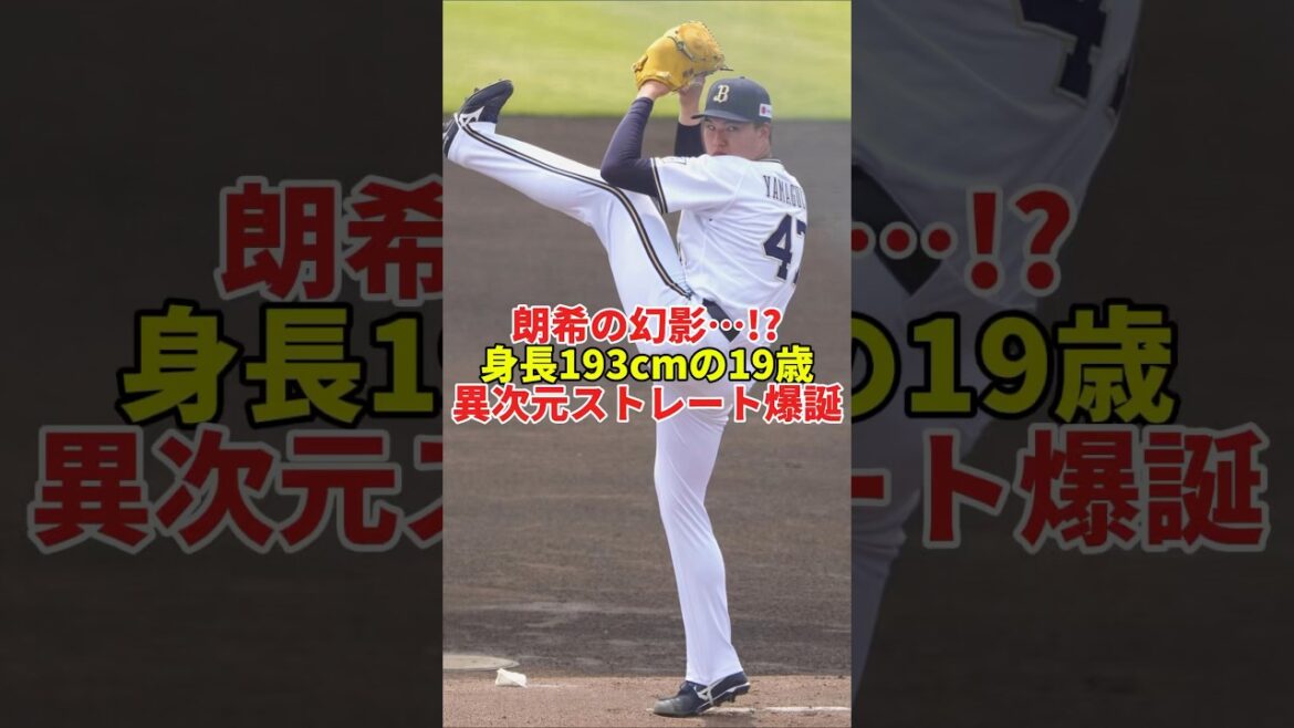 “朗希×山下”級の怪物現る…19歳・山口廉王がプロ初登板で衝撃デビュー#shorts #プロ野球 #野球 #オリックスバファローズ #オリックス #山口廉王 #パリーグ