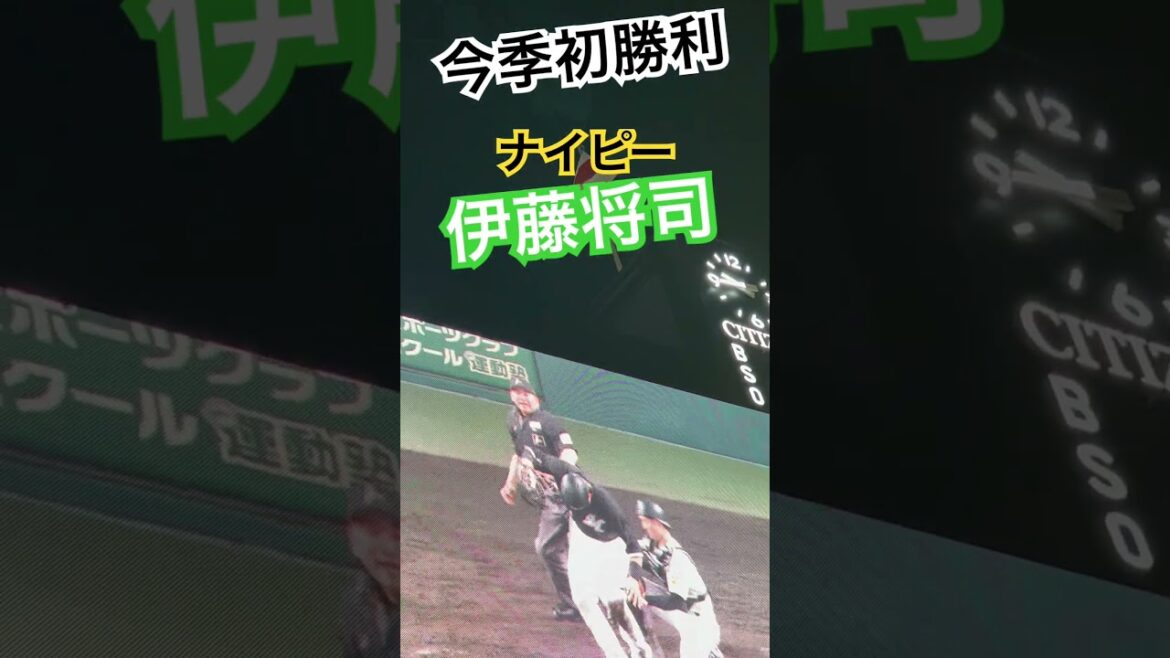 #tigers #伊藤将司  #阪神タイガース #hanshintigers  #阪神 #阪神応援  #球場ビジョン #タイガース  #野球場 #阪神甲子園球場 #猛虎 #hanshin