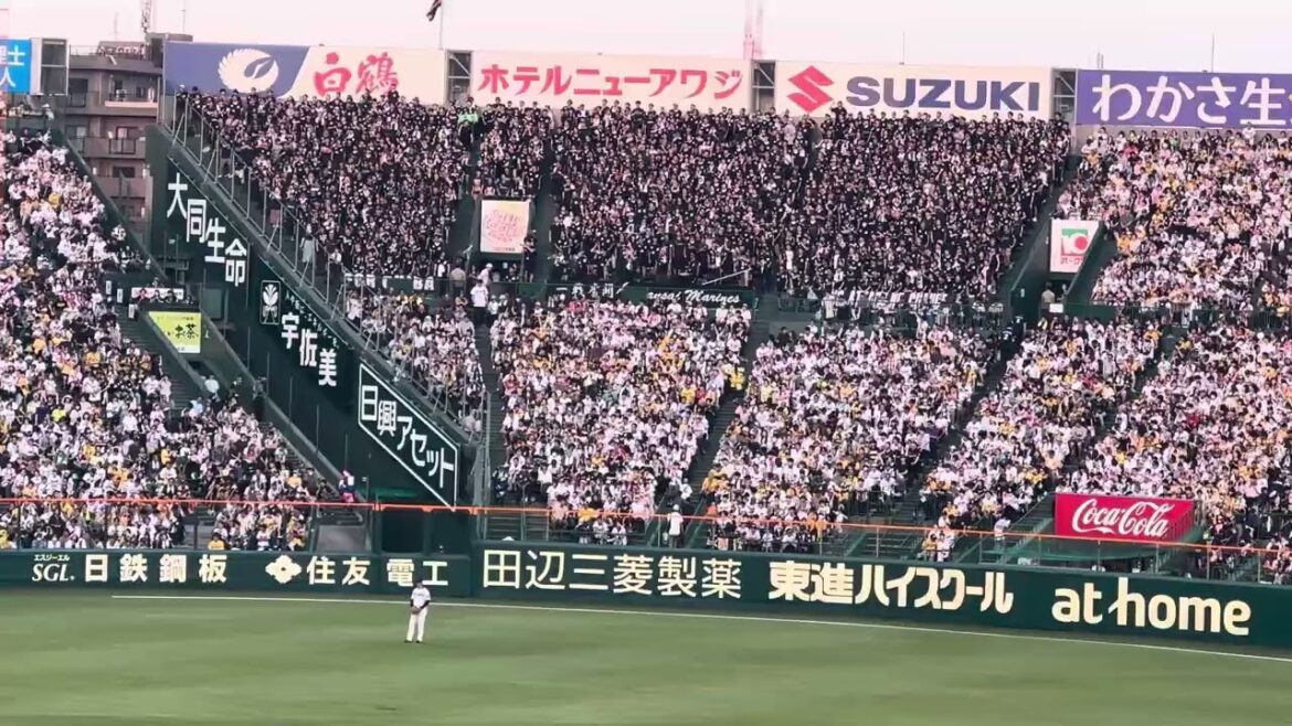 【阪神もドラ1指名】千葉ロッテ 藤原恭大 応援歌