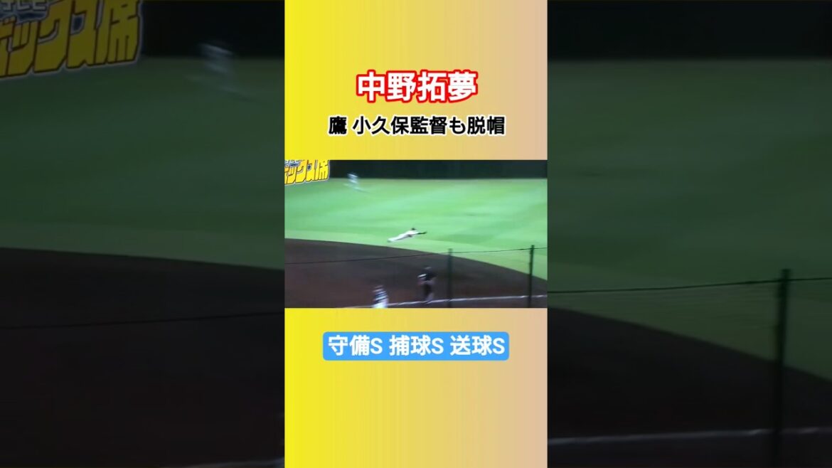 中野拓夢 打撃守備共に超次元 #プロ野球 #阪神タイガース #中野拓夢  #ファインプレー