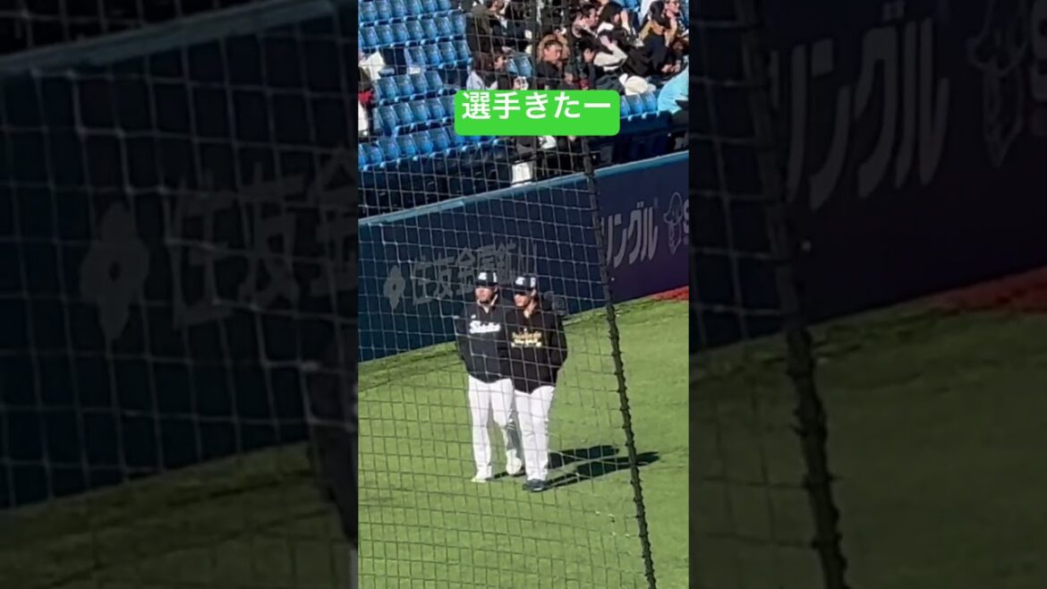 選手きたー！ヤクルトスワローズファン感謝デー2024