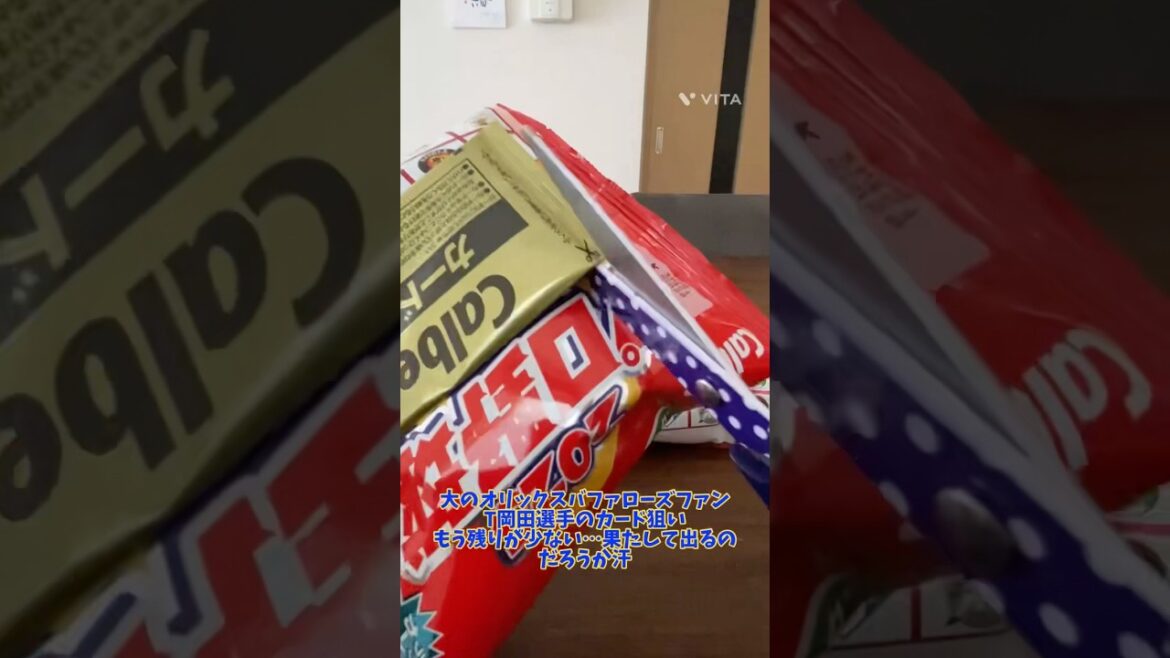 プロ野球チップス開封#calbee #プロ野球チップス #t岡田 #オリックスバファローズ #野球 #開封 #開封動画 #プロ野球カード #コレクション プロ野球チップス開封#calbee #プロ野球チップス #t岡田 #オリックスバファローズ #野球 #開封 #開封動画 #プロ野球カード #コレクション