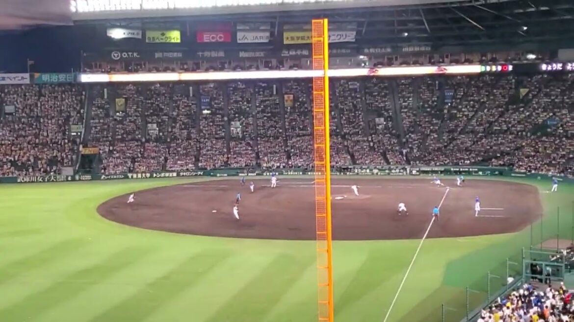 20240707　浜風を背に受けるﾊﾞﾄﾙﾌｪｲｽ♪【京田陽太 応援歌】　5回表　横浜DeNAﾍﾞｲｽﾀｰｽﾞ@阪神甲子園球場･ﾚﾌﾄ外野