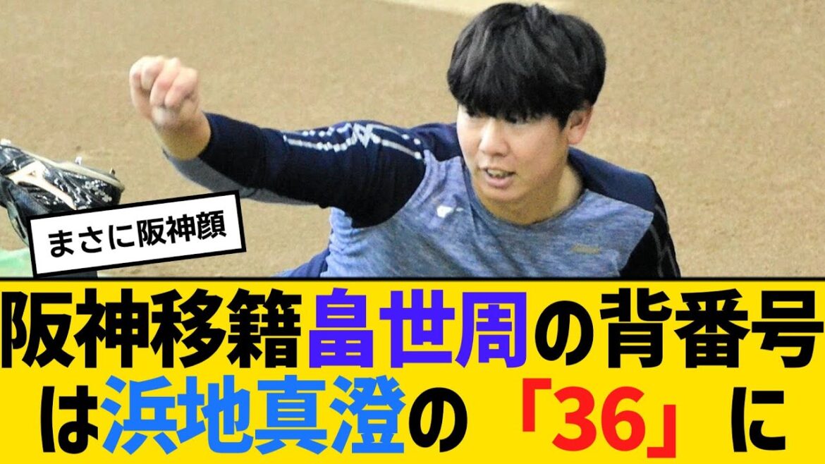 現役ドラフトで阪神移籍、畠世周の背番号は浜地真澄の「36」に　【ネットの反応】【反応集】