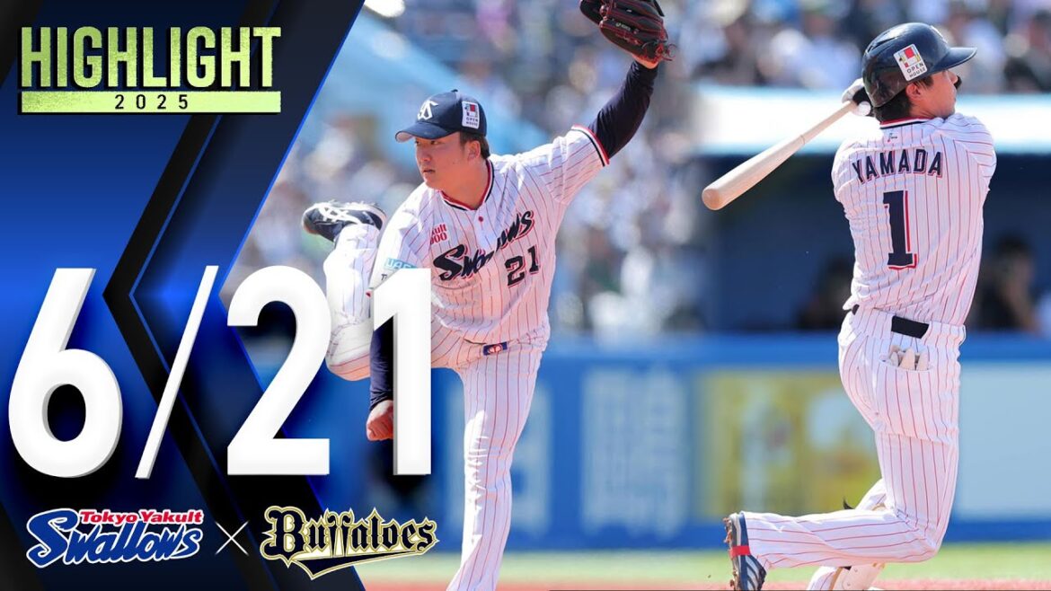 【スワローズ活躍シーン】吉村貢司郎投手、7回1失点の好投で4勝目＆山田哲人選手、2点タイムリー＆好プレーの活躍　6月21日　東京ヤクルトスワローズvsオリックス・バファローズ（神宮球場）