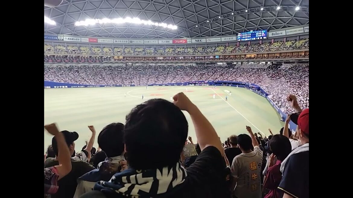 オリックスバファローズ　杉本裕太郎応援歌
