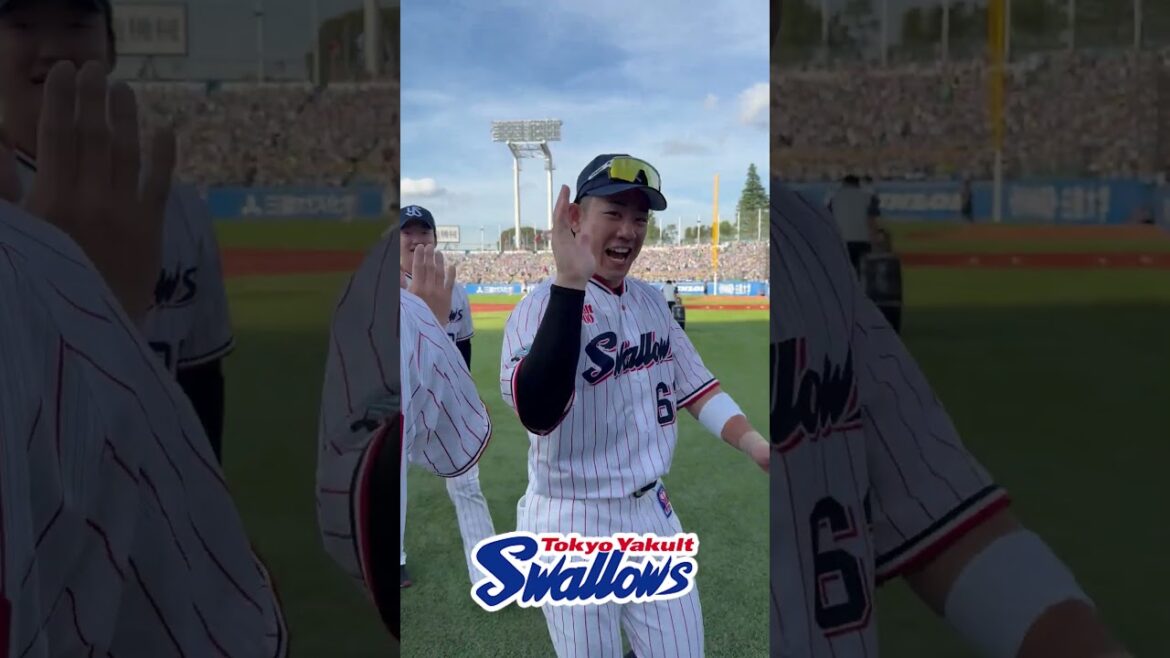 勝利後のハイタッチ　#swallows #shorts