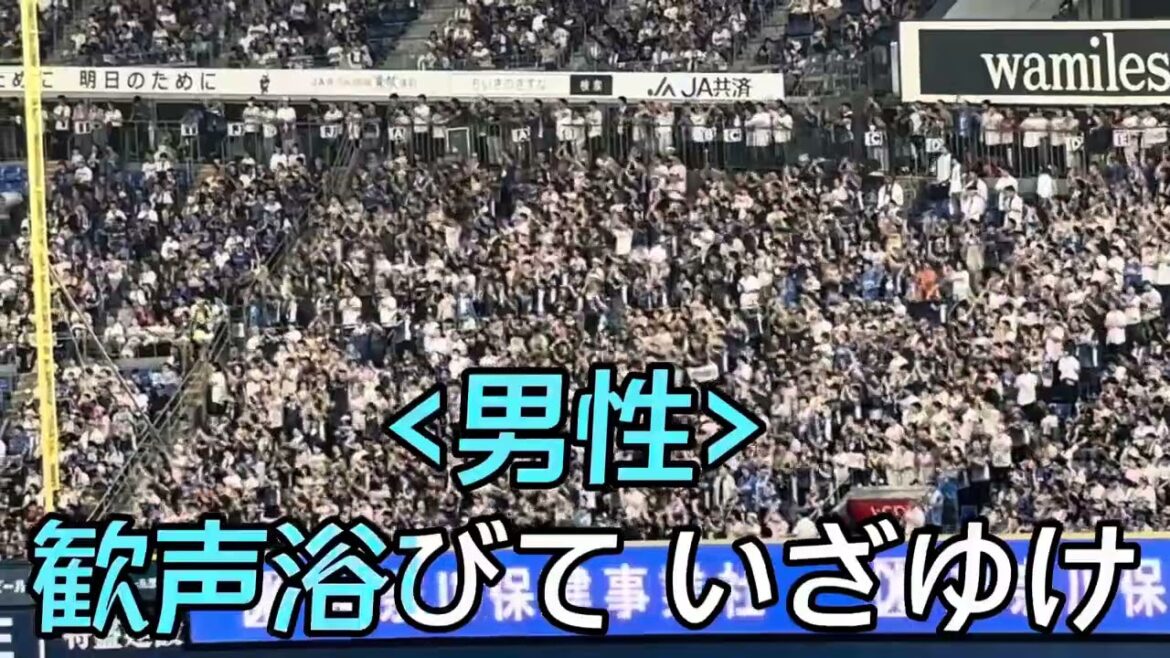 【埼玉西武ライオンズ】チャンステーマ４