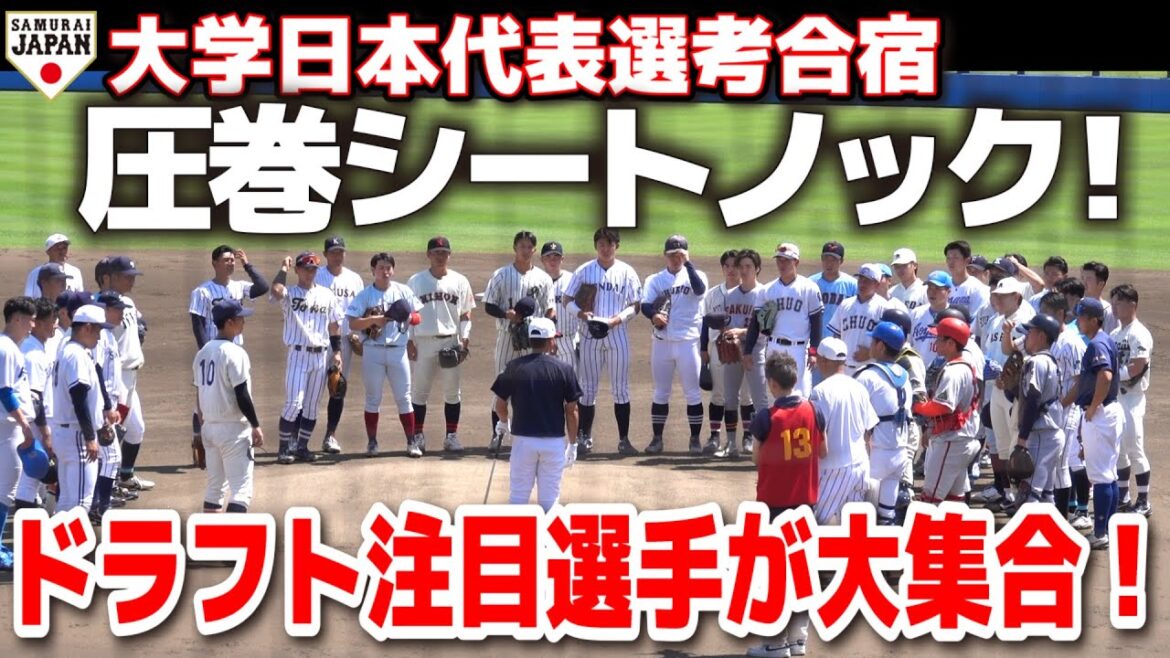 侍ジャパン 全国のドラフト注目選手が大集合!圧巻シートノック披露!ドラフト候補 大学日本代表選考合宿 大学野球 侍JAPAN プロ野球 2025.6.21 侍ジャパン 全国のドラフト注目選手が大集合!圧巻シートノック披露!ドラフト候補 大学日本代表選考合宿 大学野球 侍JAPAN プロ野球 2025.6.21