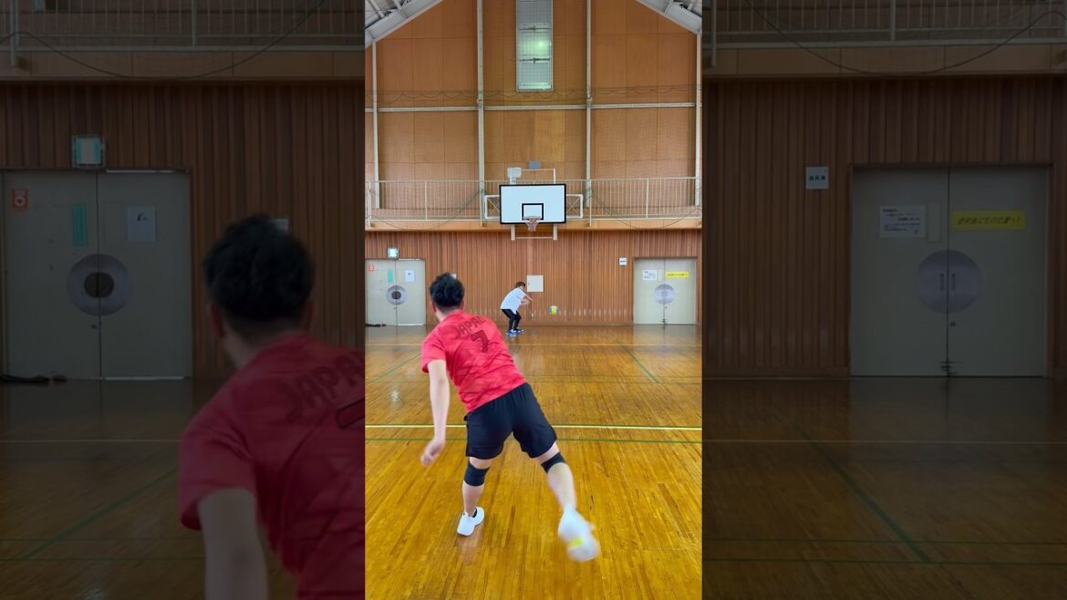 えんどれすと日本代表が野球をした結果凄い事が... #dodgeball