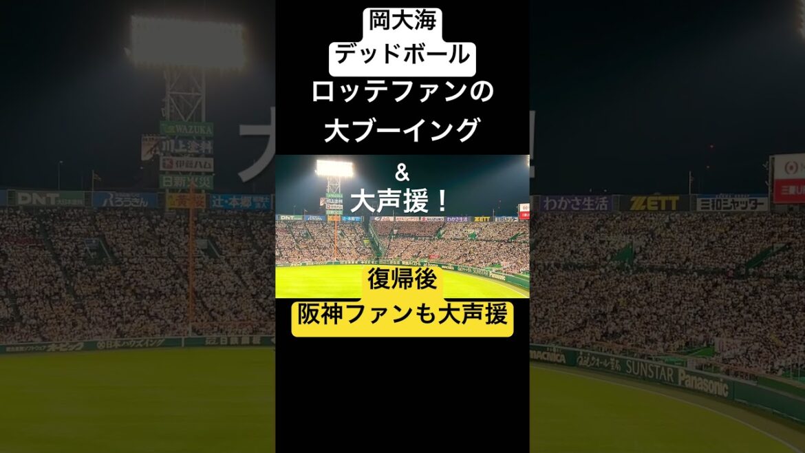 [岡大海デッドボール]ロッテファンの大ブーイング&大声援！阪神ファンも声援を送る！