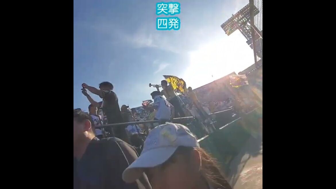 20250621　阪神ﾀｲｶﾞｰｽ応援団の突撃四発　#shorts@阪神甲子園球場･ﾚﾌﾄ外野 日本生命ｾ･ﾊﾟ交流戦