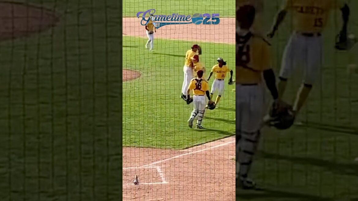 St. Joseph baseball shuts out Killingly, advances to Class M championship