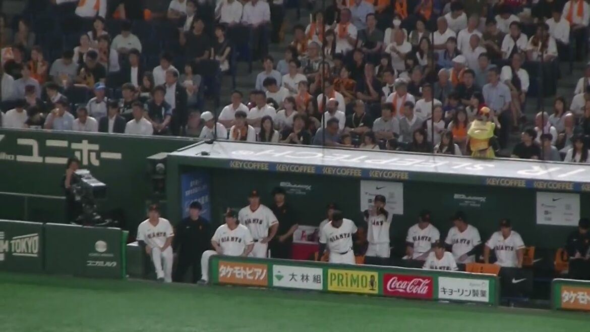 増田陸 同点犠牲フライで巨人ベンチの選手たちが喜ぶ（読売ジャイアンツ対 西武ライオンズ 2025年6月20日）