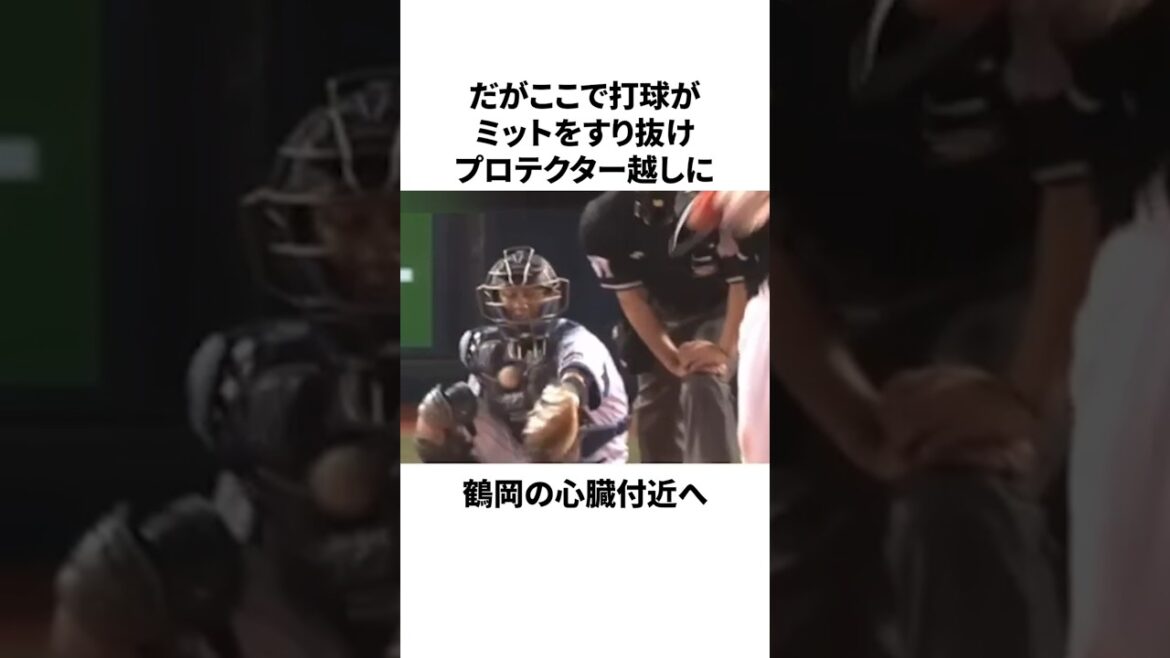 「新井の打球が鶴岡慎也に直撃」についての雑学 #プロ野球 #野球 #npb 「新井の打球が鶴岡慎也に直撃」についての雑学 #プロ野球 #野球 #npb